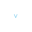 bilvision